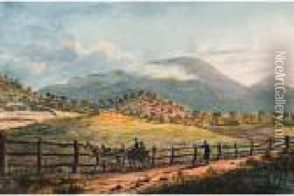 Mt Wellington From Sandy Bay Oil Painting - John Glover