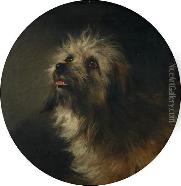 Portrait Of A Terrier Oil Painting - George Earl