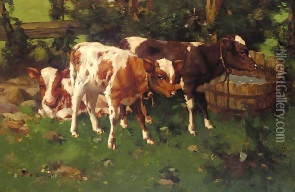 Calves 2 Oil Painting - David Gauld