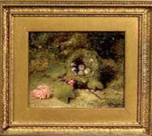 A Bird's Nest On The Forest Floor Oil Painting - George Clare