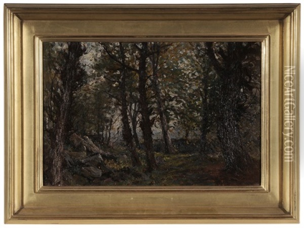 Woodland Landscape Oil Painting - Hal Robinson