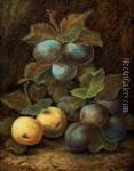 Still Life With Apples And Plums Oil Painting - Vincent Clare