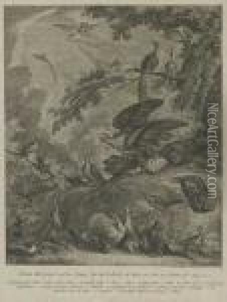 Vogelarten Oil Painting - Johann Elias Ridinger or Riedinger