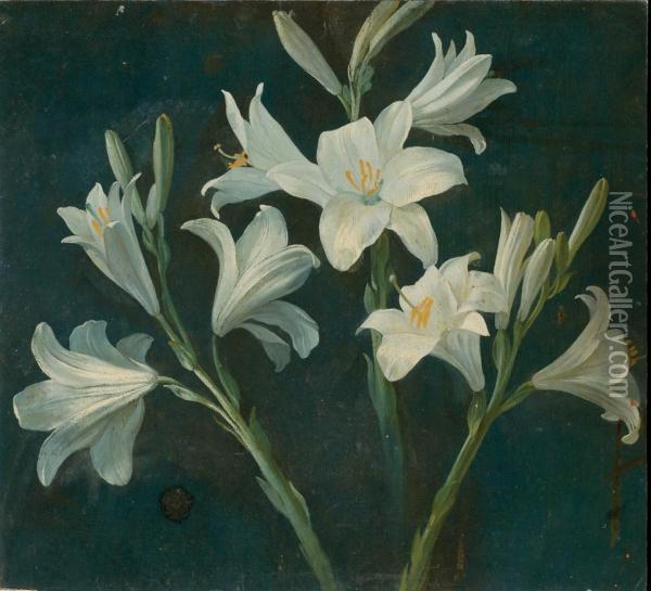 Branche De Fleurs De Lys Oil Painting - Pancrace Bessa