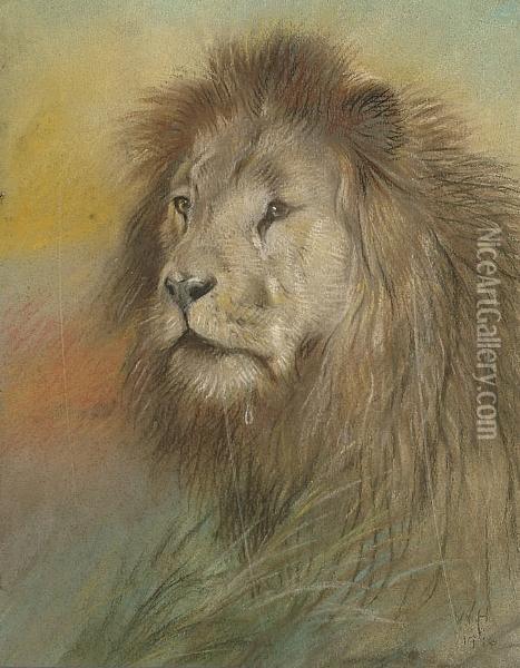 Study Of A Lion Oil Painting - William Huggins