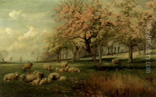 Sheep In A Spring Meadow Oil Painting - William Sidney Cooper