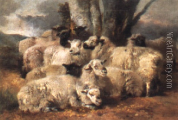 Sheep Beneath A Tree Oil Painting - Richard Ansdell