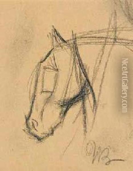 Testa Di Cavallo Oil Painting - Umberto Boccioni