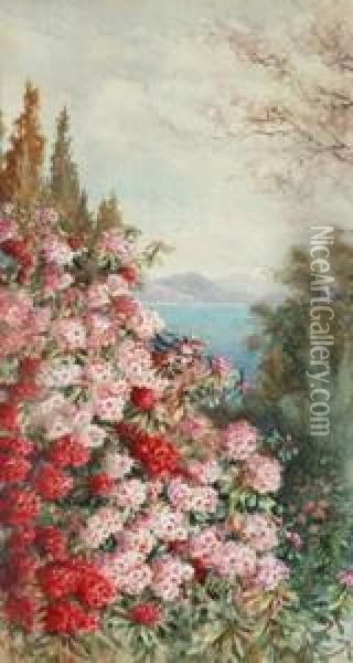 Beachside Rhododendrons Oil Painting - Marian Ellis Rowan