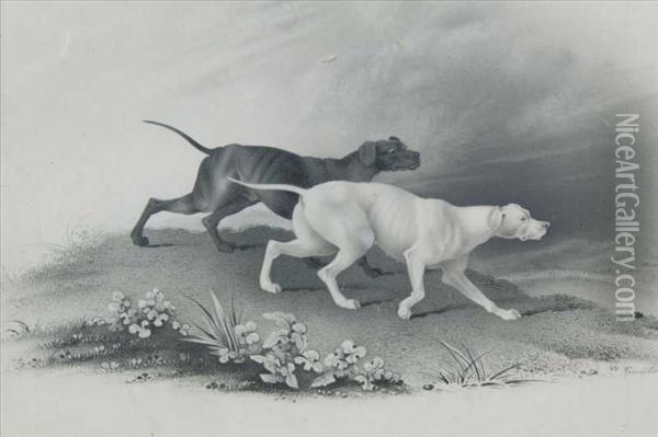 Hounds Onthe Scent Oil Painting - W. Gunton