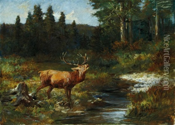 Rohrender Hirsch Oil Painting - Franz Xaver von Pausinger
