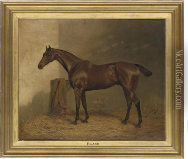 Flash, A Bay Thoroughbred In A Stable Oil Painting - Adrian Jones