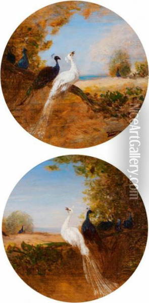 Paons Dans Un Paysage Oil Painting - Felix Ziem