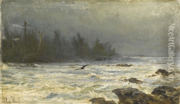 Meereskuste Oil Painting - Alexander Ferdinand Wust