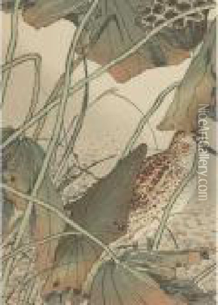 Shorebird And Lotus Oil Painting - Imao Keinen