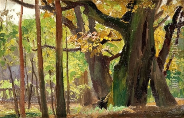 Sunny Forest Oil Painting - Michael Gorstkin-Wywiorski