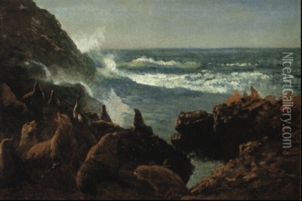 Sea Lions, Farallon Islands Oil Painting - Albert Bierstadt