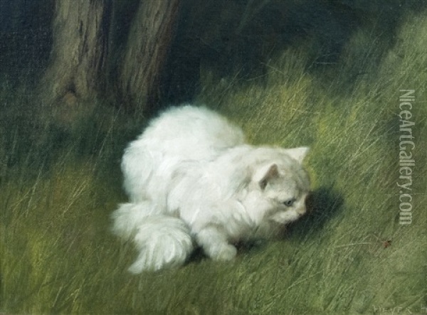 Persian Cat In The Grass Oil Painting - Arthur Heyer
