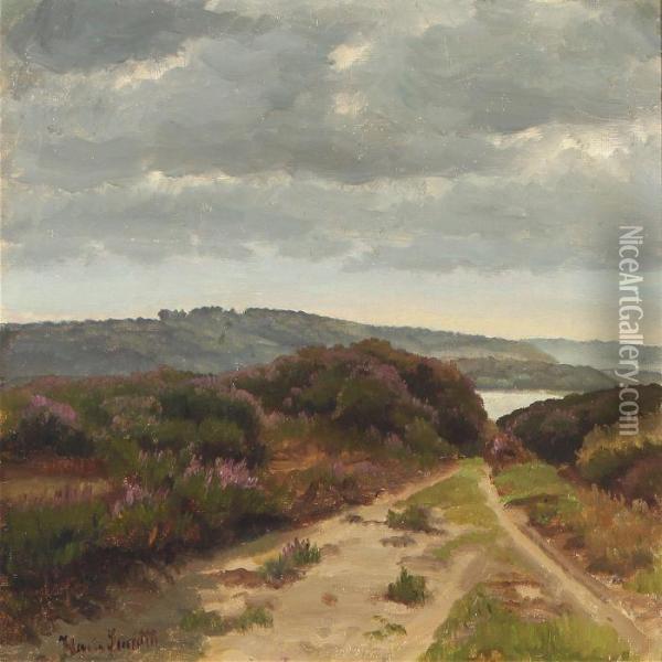 Danish Moor, Jutland Oil Painting - Hans Ludvig Smidth