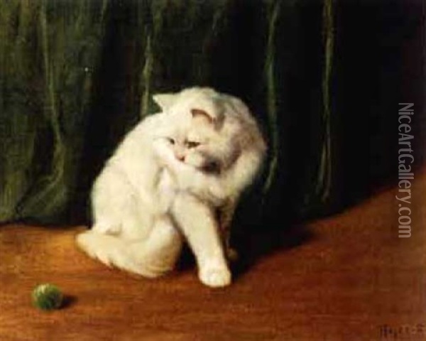 White Persian Cat Playing With A Ball Oil Painting - Arthur Heyer