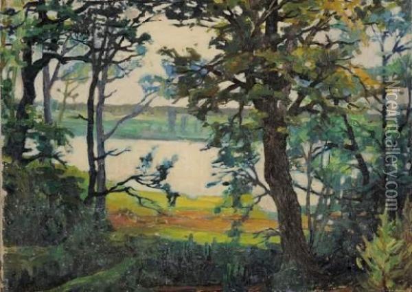 Lac A Travers Les Arbres Oil Painting - Abraham Manievich