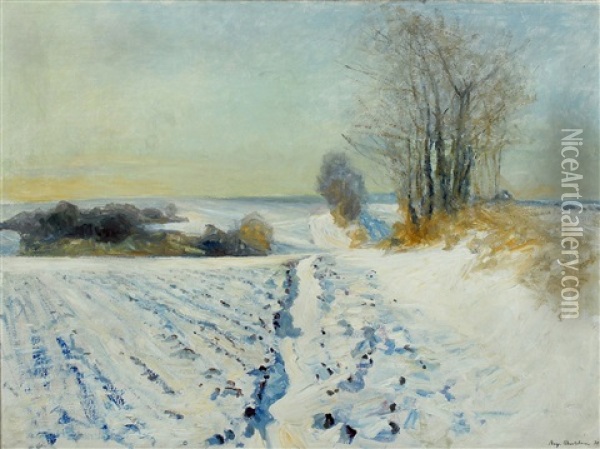 Winter Scenery With Snow Covered Fields In Sunlight Oil Painting - Aage Bertelsen