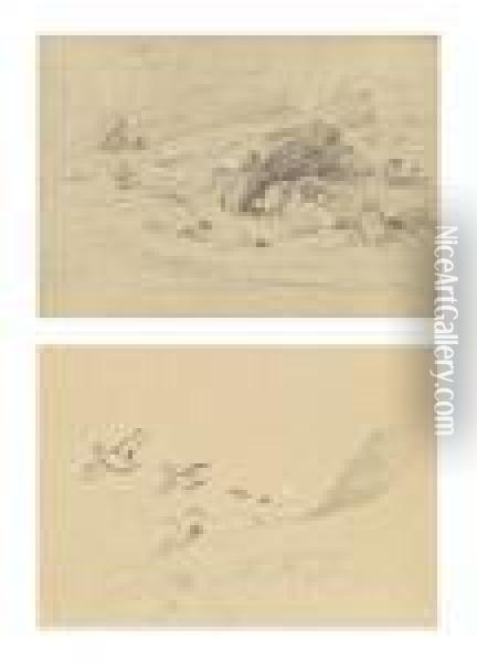 Studies Of Young Tern Oil Painting - Archibald Thorburn