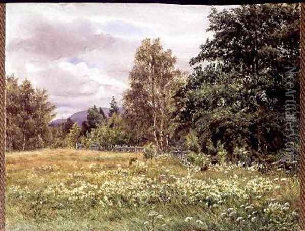 Meadow-sweet near Polchar Aviemore Scotland 1905 Oil Painting - Gertrude Martineau