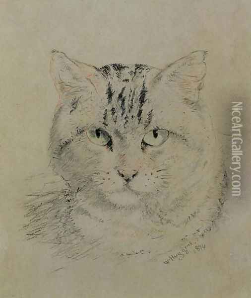 Tabby Cat Oil Painting - William Huggins