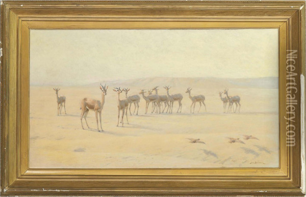 In The Desert Oil Painting - John Charles Dollman