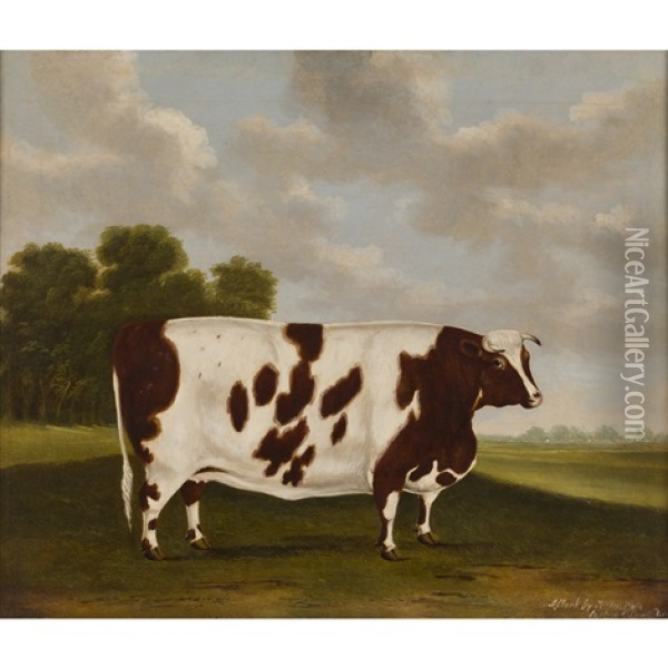 Pigeon, The Prize Cow Of Mr Price, 1816 Oil Painting - Thomas Weaver