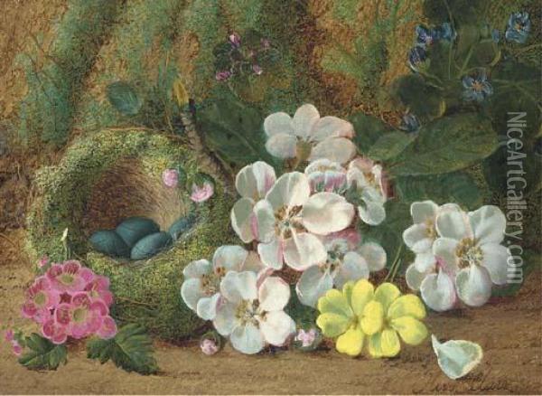 Apple Blossom, Primroses And A Bird's Nest With Eggs, On A Mossybank Oil Painting - Oliver Clare