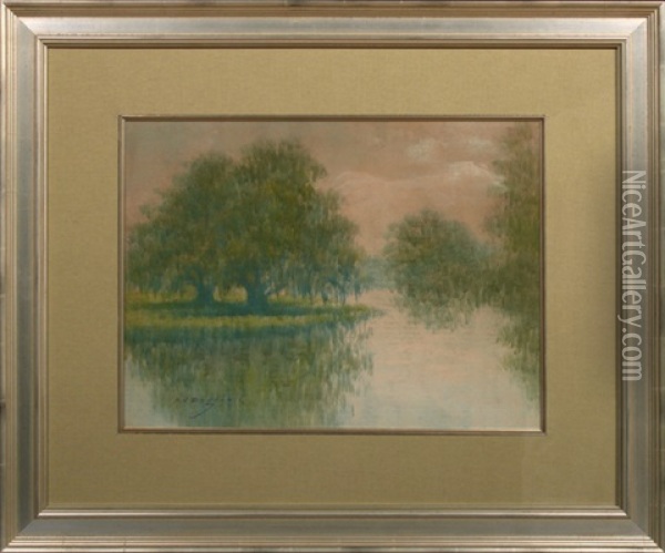 Louisiana Bayou Scene With Oak And Cypress Trees Oil Painting - Alexander John Drysdale