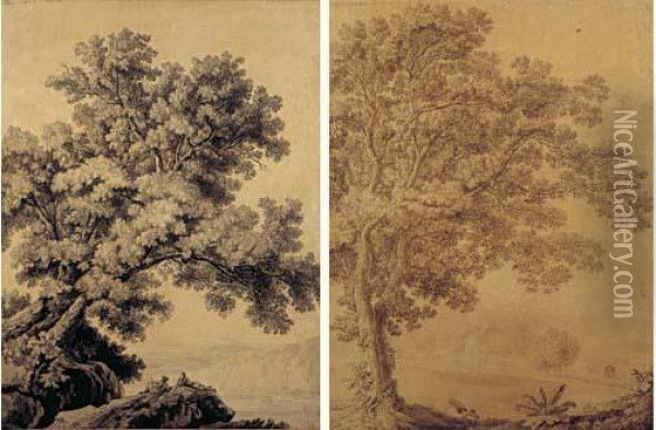 Deux Etudes D'arbres Oil Painting - Jacob Philipp Hackert