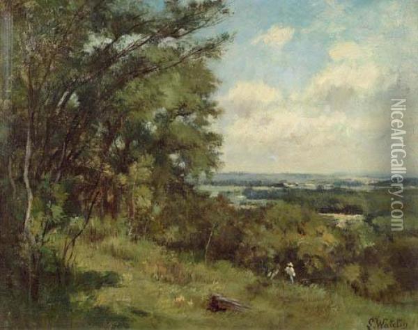 Landschaft Mit Baumen. Oil Painting - Louis-Francois-V. Watelin