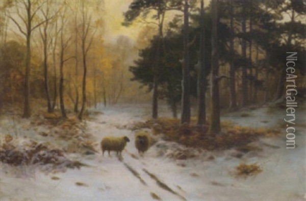 Sheep In A Winter Forest Oil Painting - Malcolm Fraser