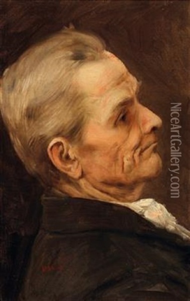 Portrait Of A Man Oil Painting - Vaclav Brozik