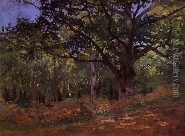 The Bodmer Oak Fontainebleau Oil Painting - Claude Oscar Monet