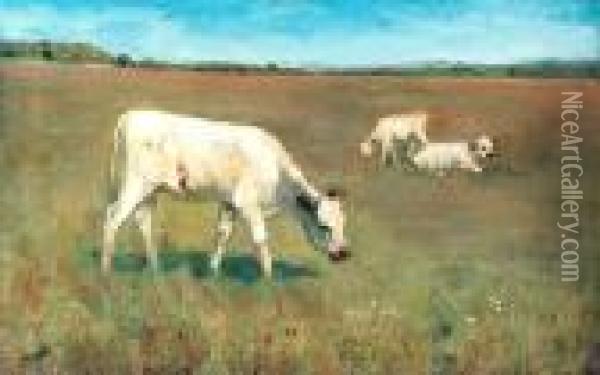 White Calves In A Meadow Oil Painting - Adrian Scott Stokes