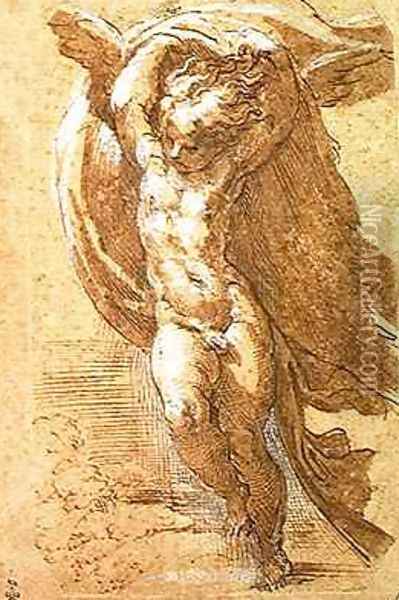 An Angel Raising Drapery above his Head, c.1524-30 Oil Painting - Girolamo Francesco Maria Mazzola (Parmigianino)