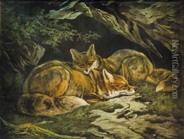 Zwei Fuchse Oil Painting - August Schleich