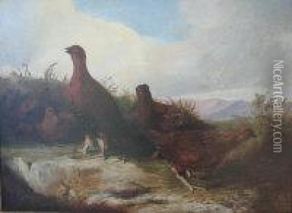 Covey Of Grouse Oil Painting - John Christopher Bell