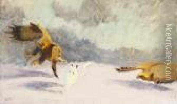 Ornar Slar Hare I Vinterlandskap Oil Painting - Bruno Andreas Liljefors