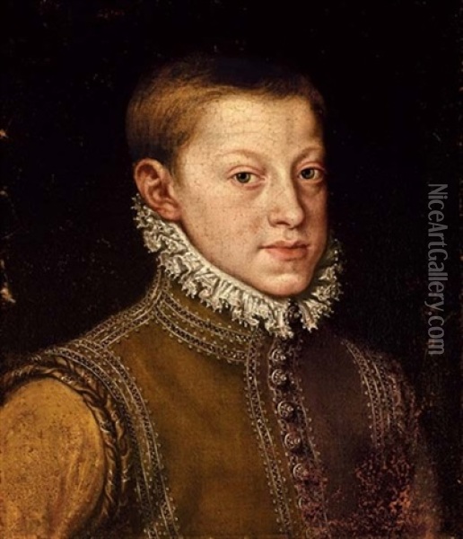 Portrait Of Archduke Rudolph Ii, Holy Roman Emperor, As A Boy Oil Painting - Alonso Sanchez Coello