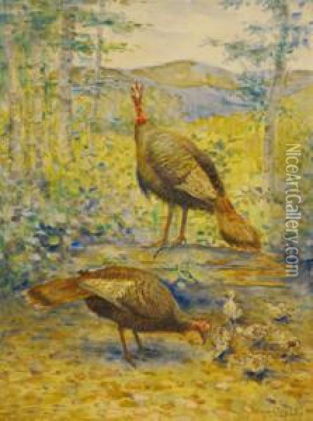 Wild Turkey And Canadian Geese Oil Painting - Aloysius C. O'Kelly