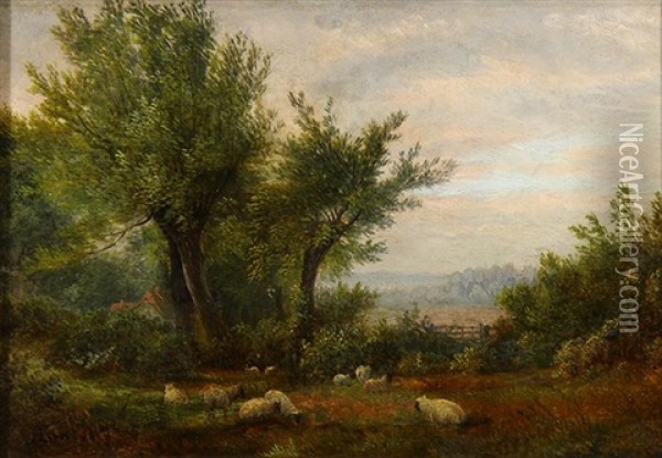 Sheep Grazing In The Pasture Oil Painting - John Linnell