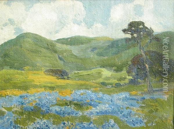 Springtime, Hatton Fields Oil Painting - Mary Deneale Morgan