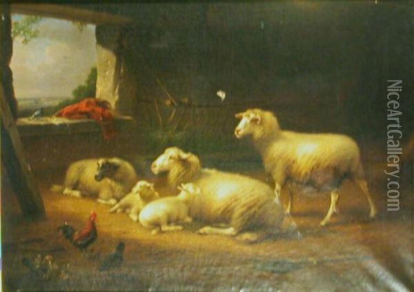 Sheep In A Stable Oil Painting - Franz van Severdonck