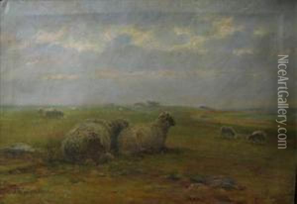 Sheep In A Landscape Oil Painting - John Austin Sands Monks