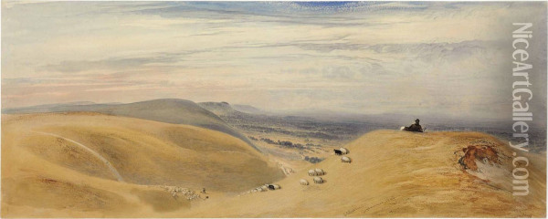 A Hilly Landscape With A Shepherd Oil Painting - John Martin